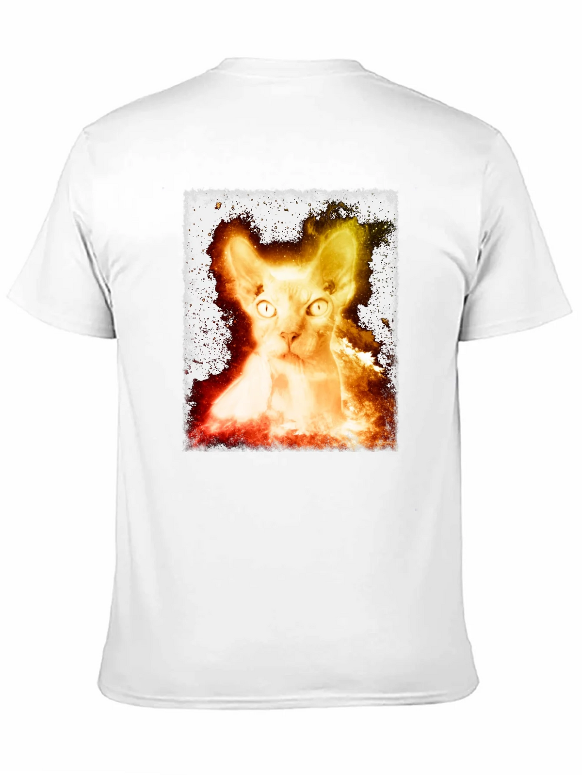Sphynx Cat Graphic Tee - Unique Design product image 2